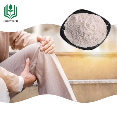 Polvere del bianco sporco di supplemento del solfato della condroitina della cartilagine dello squalo per la psoriasi