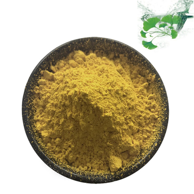 Polvere USP40 Herb Extract For Dietary Supplement naturale della foglia del ginkgo biloba