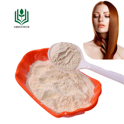 Polvere della proteina della cheratina dell'estratto dell'artiglio del maiale per il trattamento GMP dei capelli