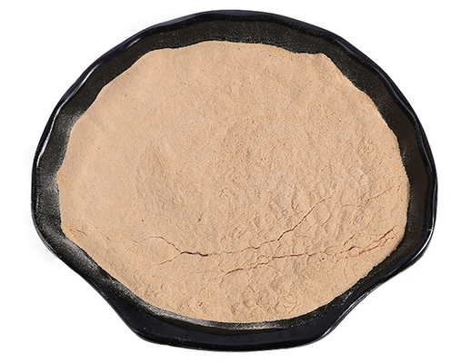 Willow Bark Extract Powder bianca naturale 80 Mesh For Dietary Supplement