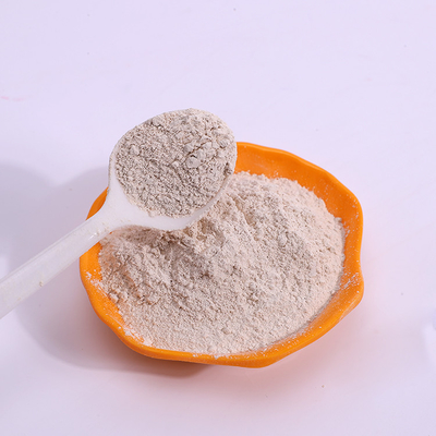 Polvere 80 Mesh With Calcium For Bone della cartilagine dello squalo del commestibile